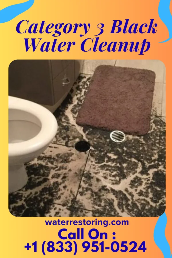 Category 3 Black Water Cleanup in Greenwood Lake, NY