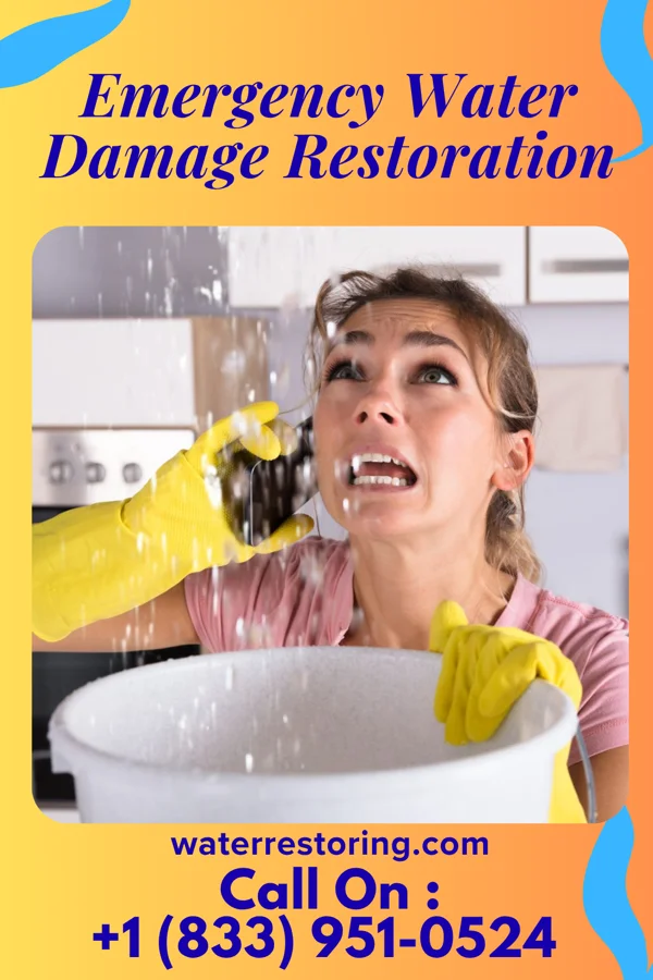Emergency Water Damage Restoration in Greenwood Lake, NY