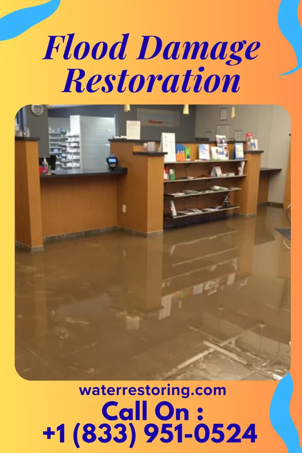 Flood Damage Restoration in Greenwood Lake, NY